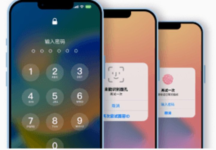 爱思助手 · 观赛人群